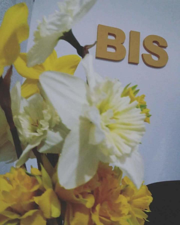 Prenociste Bis 호텔 Prijepolje 외부 사진